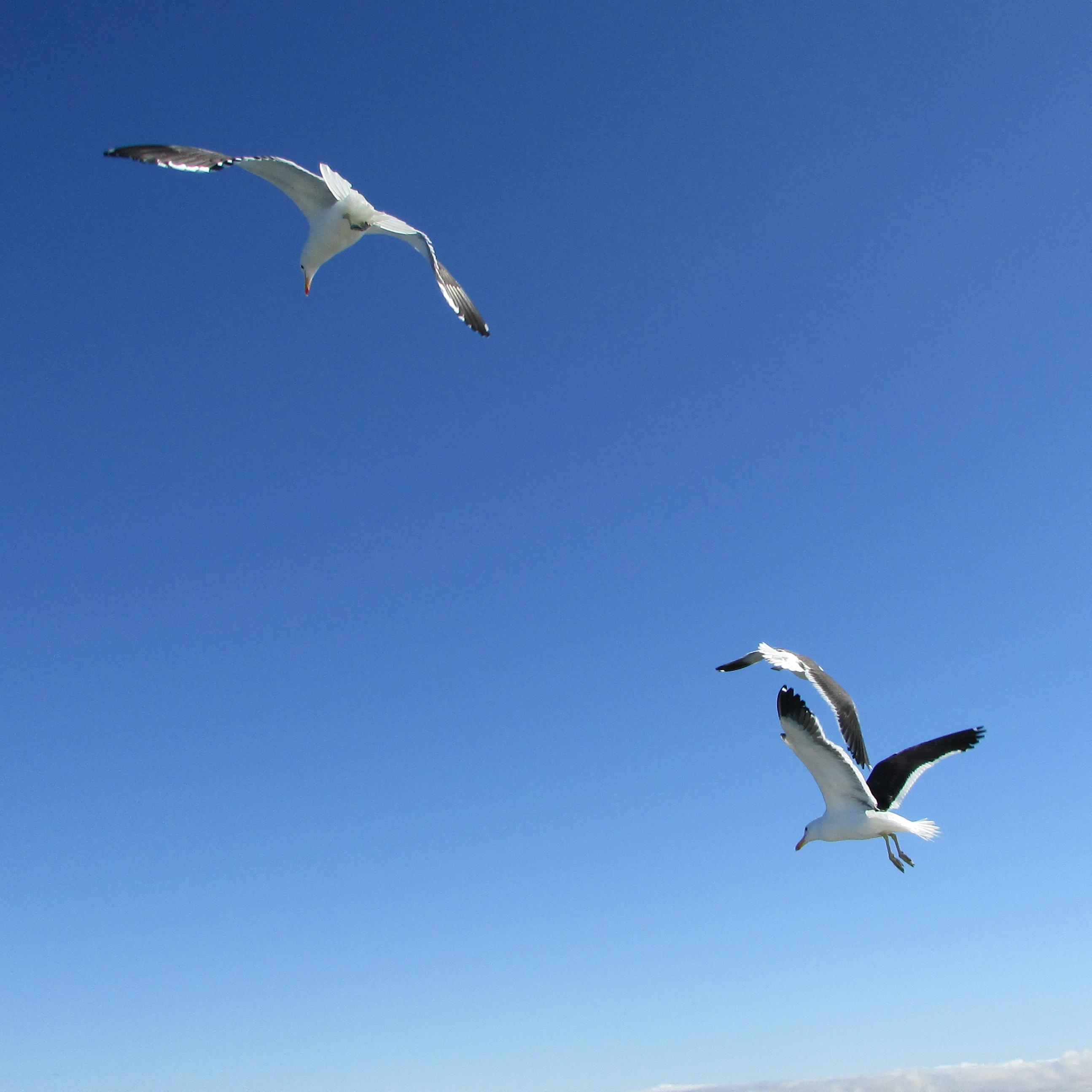 XandiOrford's profile picture. 