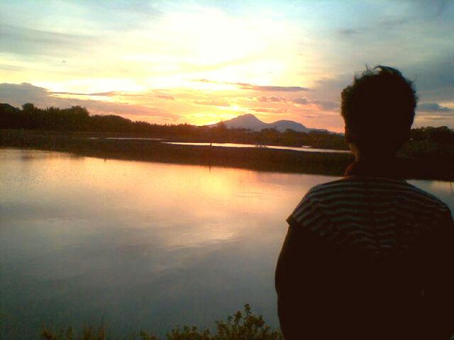 Can you feel my heart ?