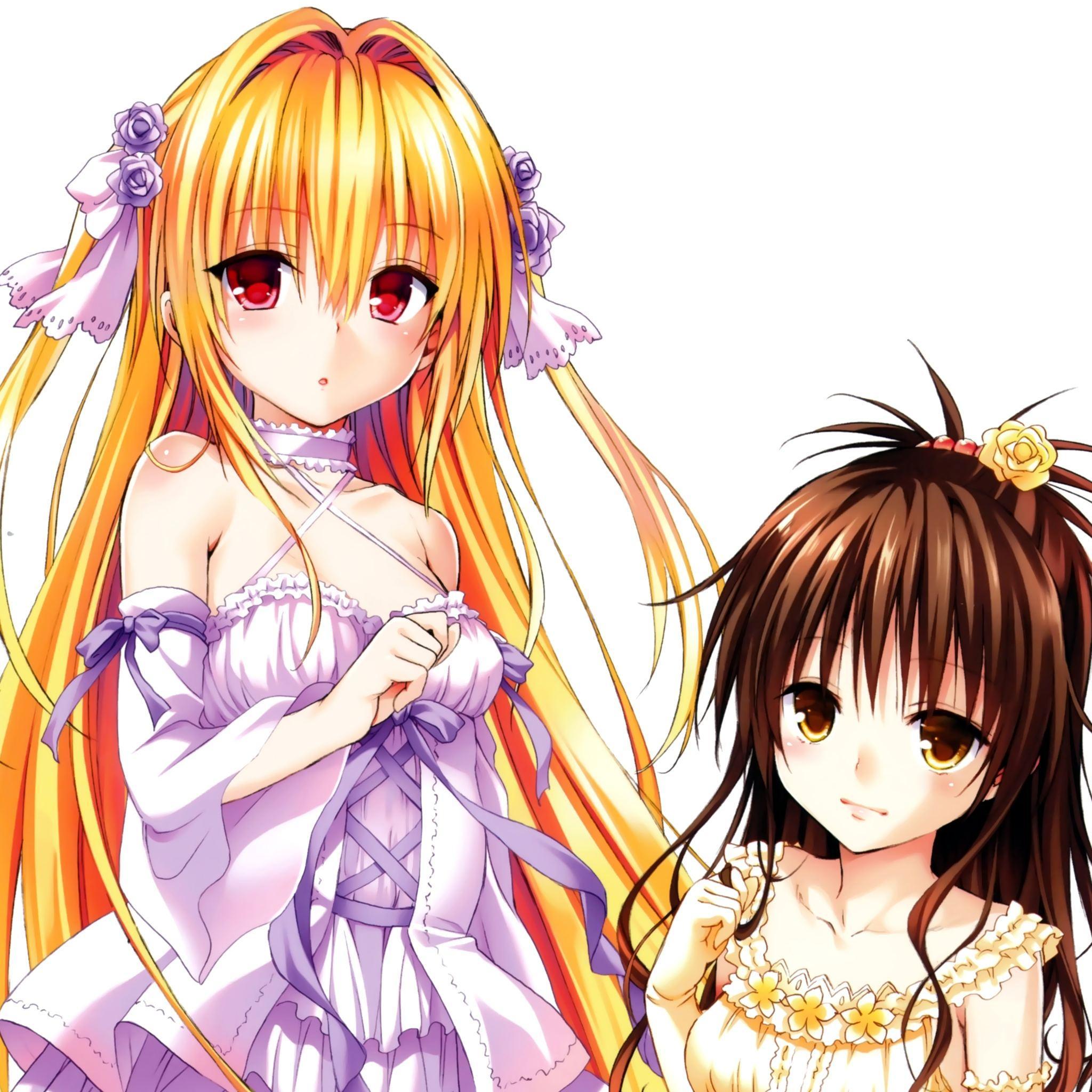 gyseparad's profile picture. とらぶるダークネスの画像botです。フォローも定期的に返すので、フォローもふぁぼもお気軽に♪