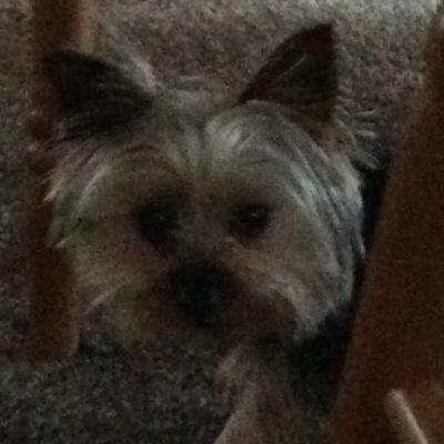 jmg7280's profile picture. 