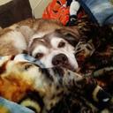 nick borders - @nwborders7 - Twitter