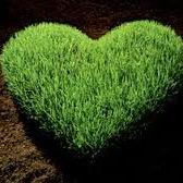 Sense the force of Baltic plants
| Natuurlijke cosmetica | Ecocert |
http://t.co/zA2yql1y