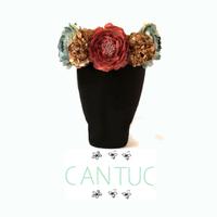 CANTUC (@cantuc3) 's Twitter Profile