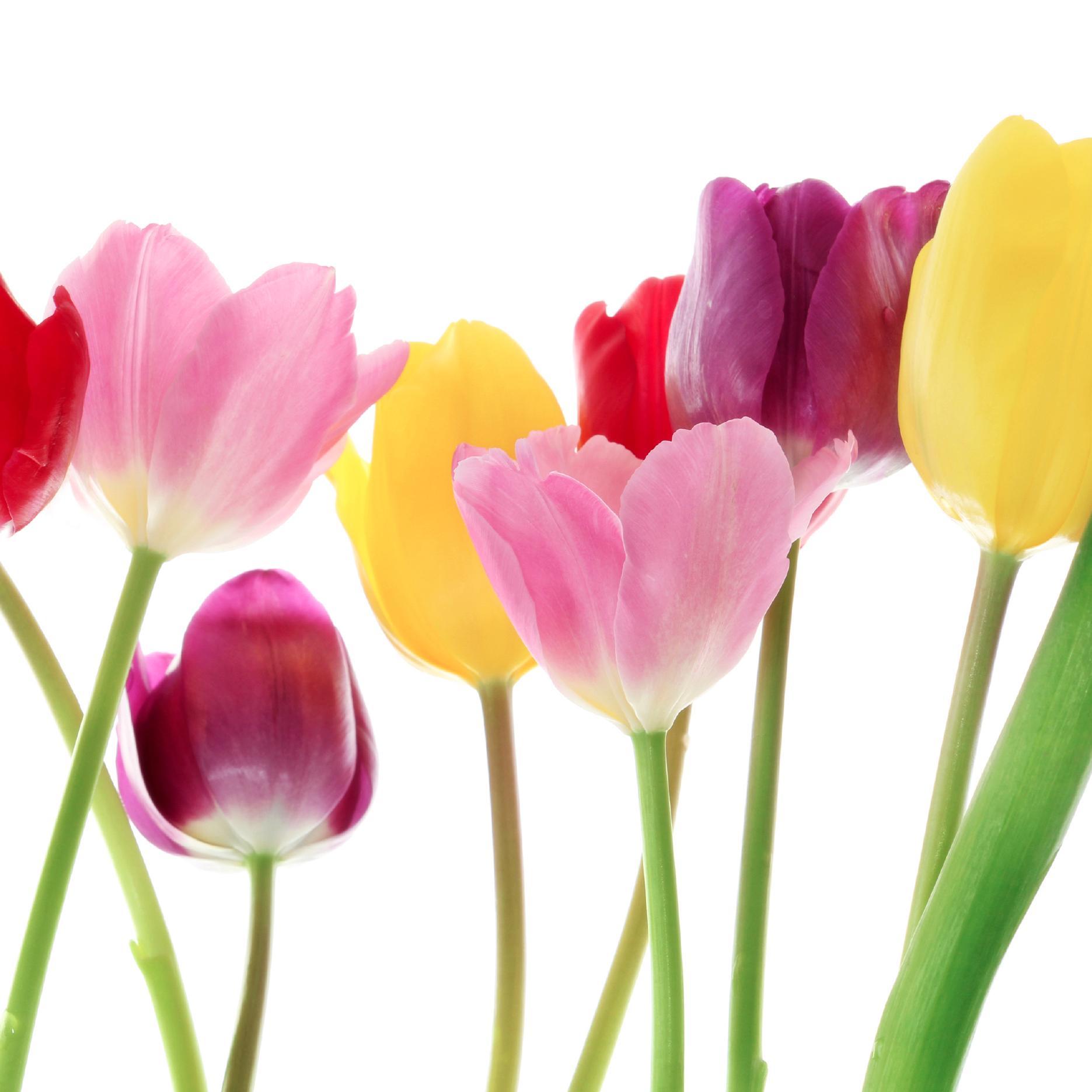 highfshinfo's profile picture. Infertility survivor, parent of two miracle children and creator of http://t.co/JlcjWgz7yU to help women become their own fertility advocates.