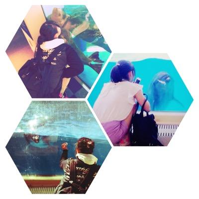 TWLC 27期 /鰭脚馴致/水族館/海獣/ 【@many_ayagon】