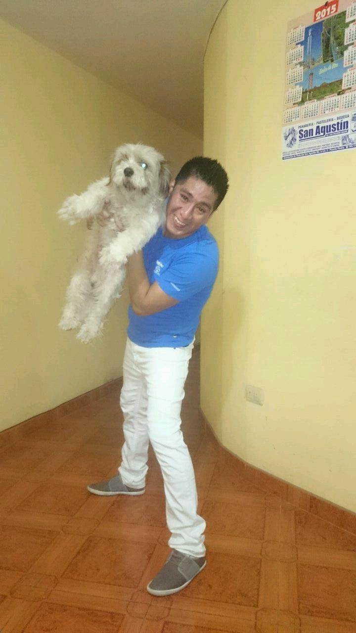 yegamos's profile picture. 