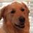 donnalmoffitt's profile image