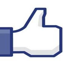I will add 500+ LIKES ON YOUR FACEBOOK FANPAGE only for $5