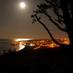 Greystones Online (@greystonestown) Twitter profile photo Greystones Online (@greystonestown) Twitter profile photo