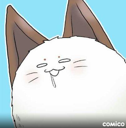 mnst_unkyokuman's profile picture. モンストに命を捧ぐ