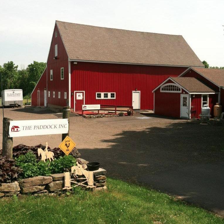 thepaddockinc's profile picture. Our one stop shop for all your equestrian needs!