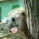 will allison - @worldwarwill89 - Twitter