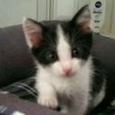 Siegfried Meyer - @277f34e1a96c486 - Twitter