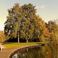 lindenholt leeft (@lindenholtl) 's Twitter Profile