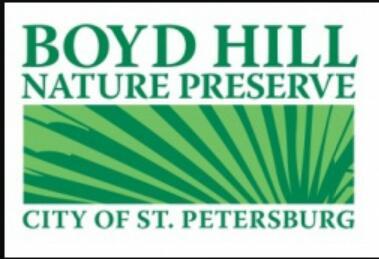 Boyd Hill Nature Preserve is 245 acres of diverse ecosystems including hardwood hammocks, sand pine scrub, pine flatwoods, willow marsh and swamp woodlands.