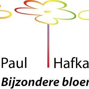 Bijzondere bloemen voor een bijzondere relatie, een bijzondere gelegenheid, een bijzonder moment, of gewoon voor een bijzonder mens.