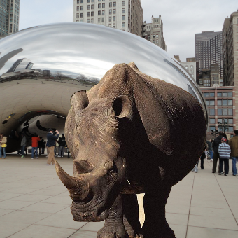 dadonedibles's profile picture. like the equivalent of 1-2 beers