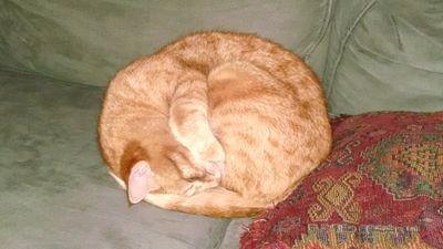 jeffdurham69's profile picture. 