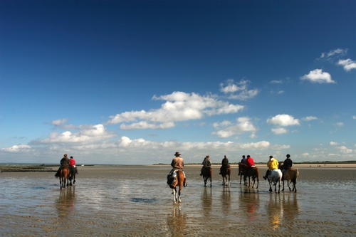 The Heart of Confidence- unique and powerful confidence and sucess coaching for horse riders