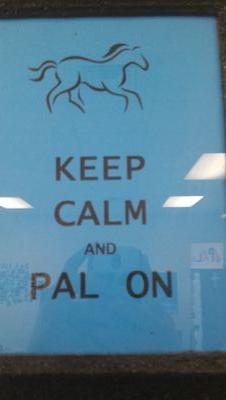 PAL3TAGGAME's profile picture. Pal 3 class updates to game!! And we Travel to Jowell Elementary and Salyards Middle School!