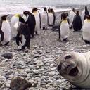 Mike Auer - @auer_madmaggs - Twitter