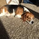 Deven Moore - @mooreorless17 - Twitter