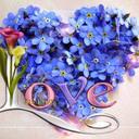 limon - @AliLimon94 - Twitter