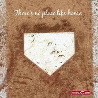 Tony Vittorio (@vittoriotony) 's Twitter Profile