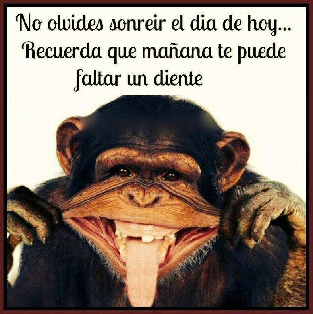 😂😂😂