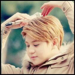 BEASTLOVE