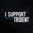 TRIDENTorg's profile image