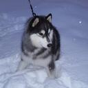 john churnetski - @johnchurnetski - Twitter