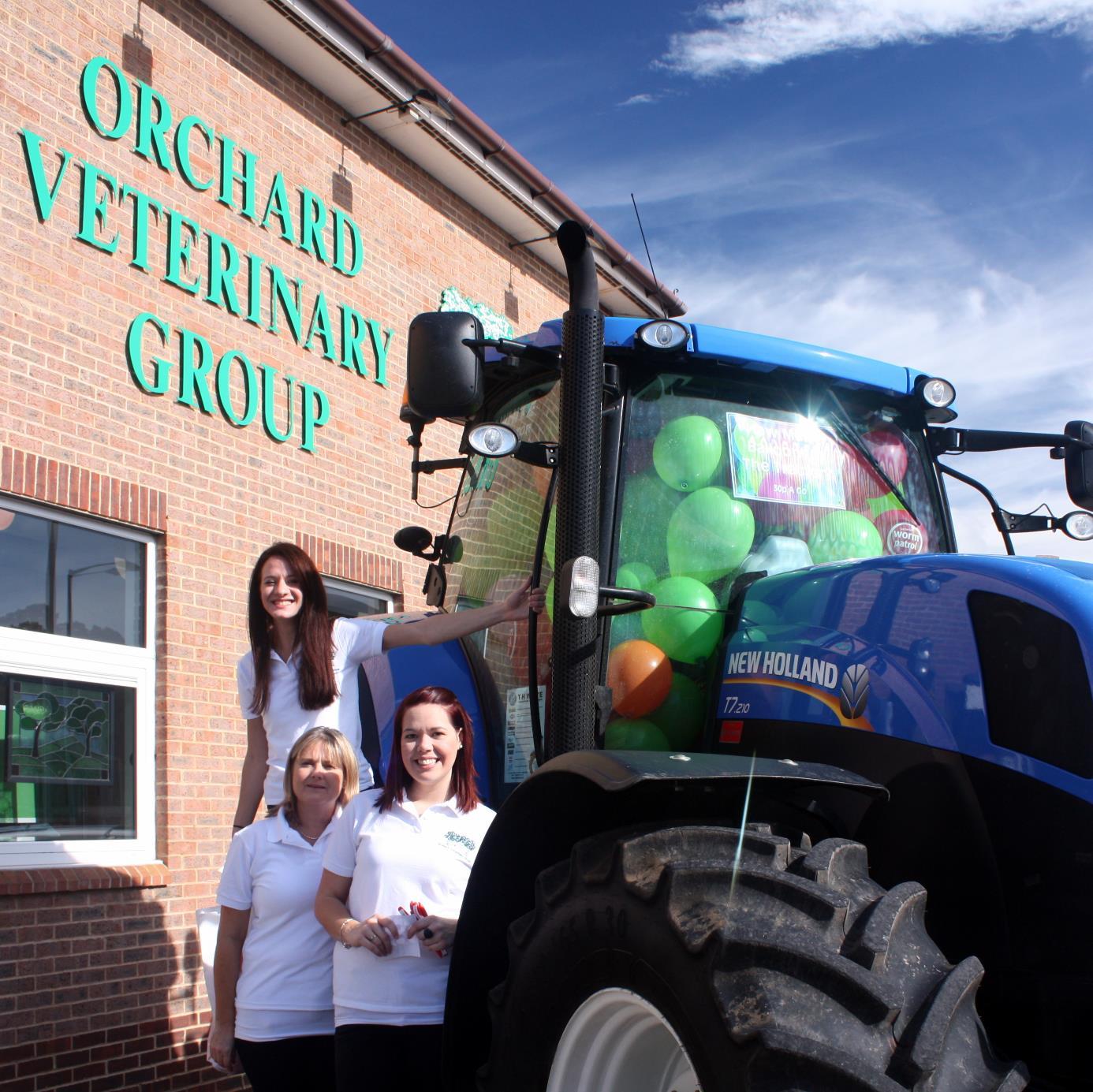 Orchard Veterinary Group, Veterinary Practice based in Glastonbury, Somerset. We treat both large and small animals.
