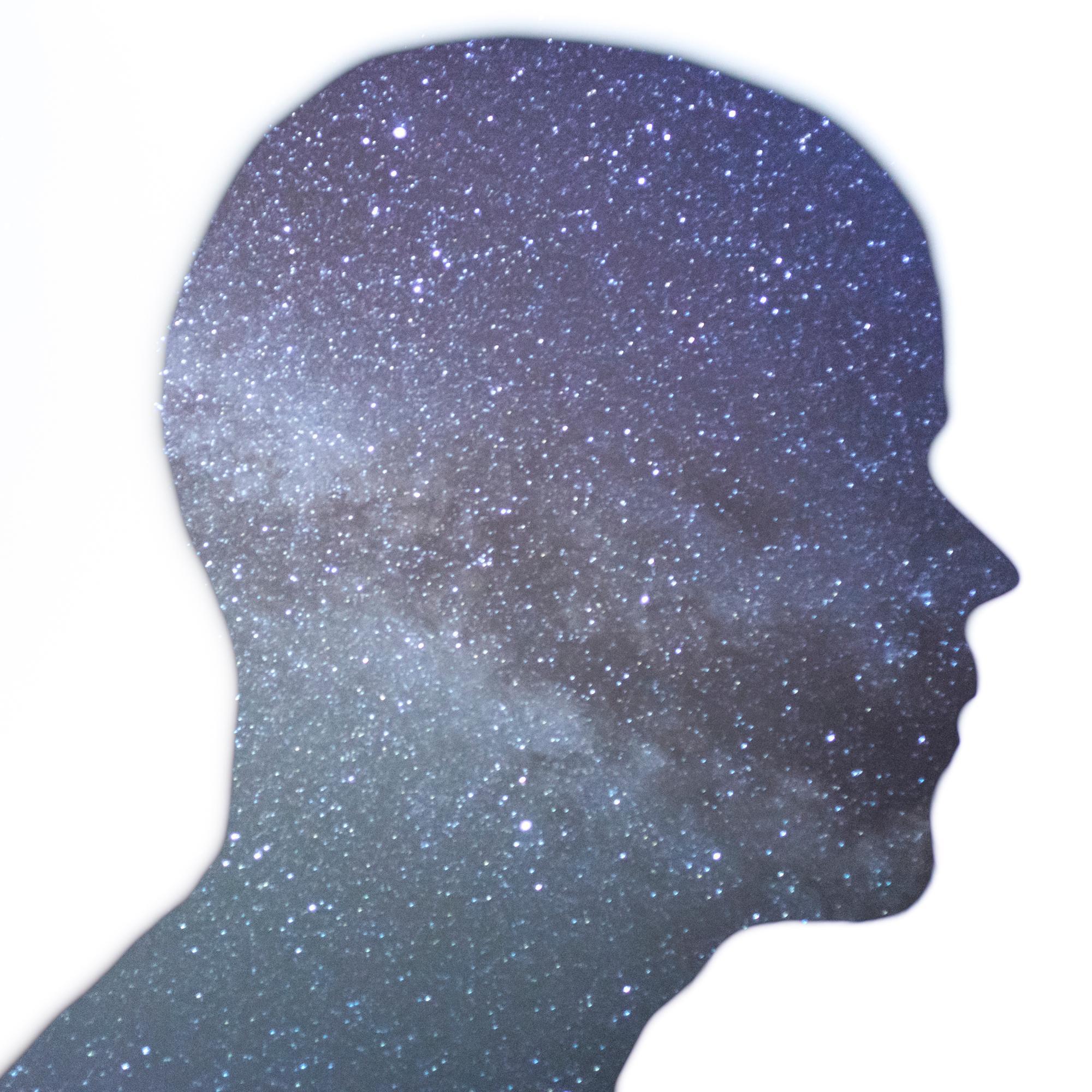 artisalive's profile picture. « essentiel à la nation » E. Macron