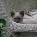 Rita Stone - @worthawg - Twitter