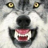 OuaiAyoub's profile picture. 