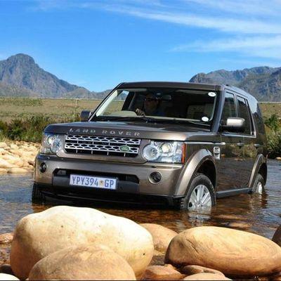 josealb69267190's profile picture. 