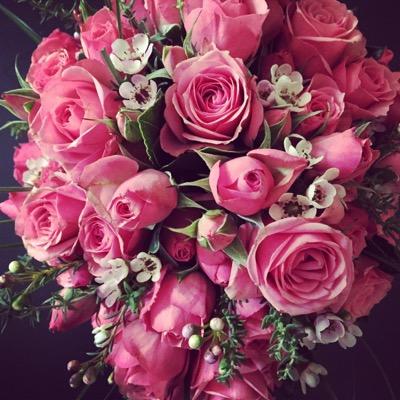 ababassi's profile picture. human rights activist, journalist