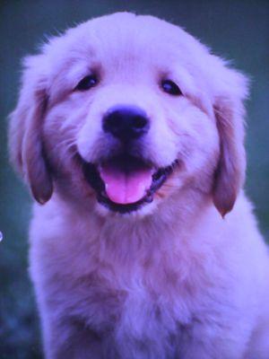 be happy