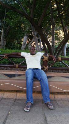 chweneemangl's profile picture. 