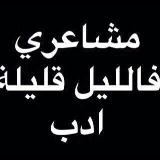 طنش الحمير تعيش امير