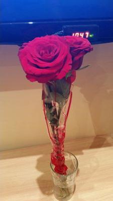 ‏‏ماعادت النفس تبغى حاجه غيررضاربهاوالشهاده