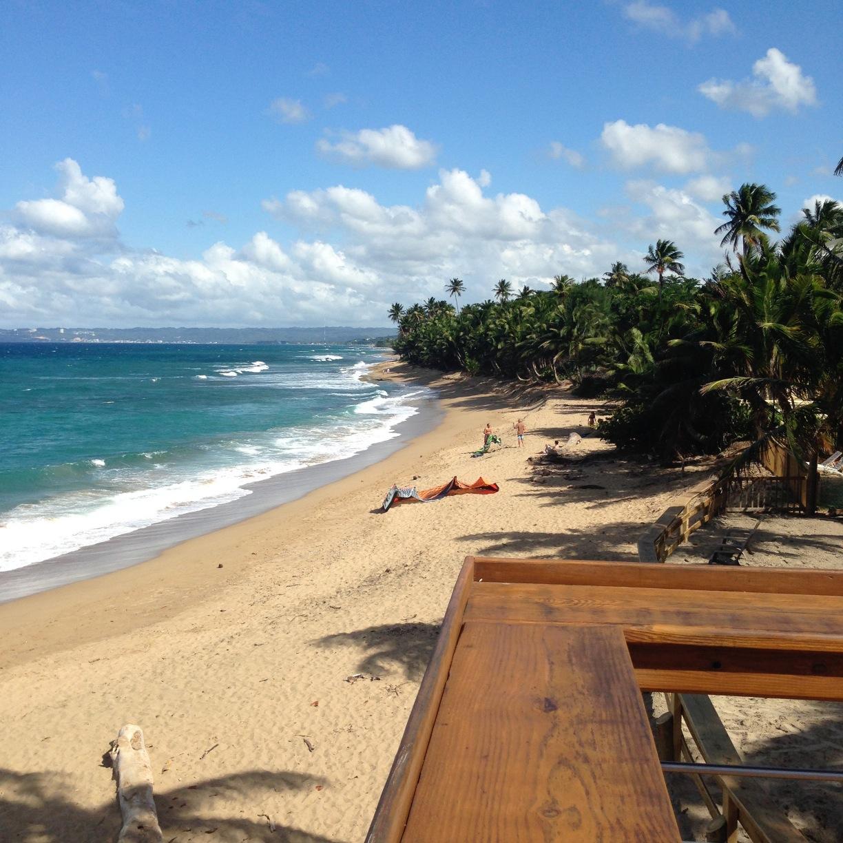 OnellM88's profile picture. 