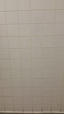 CampShalom2011's profile picture. 