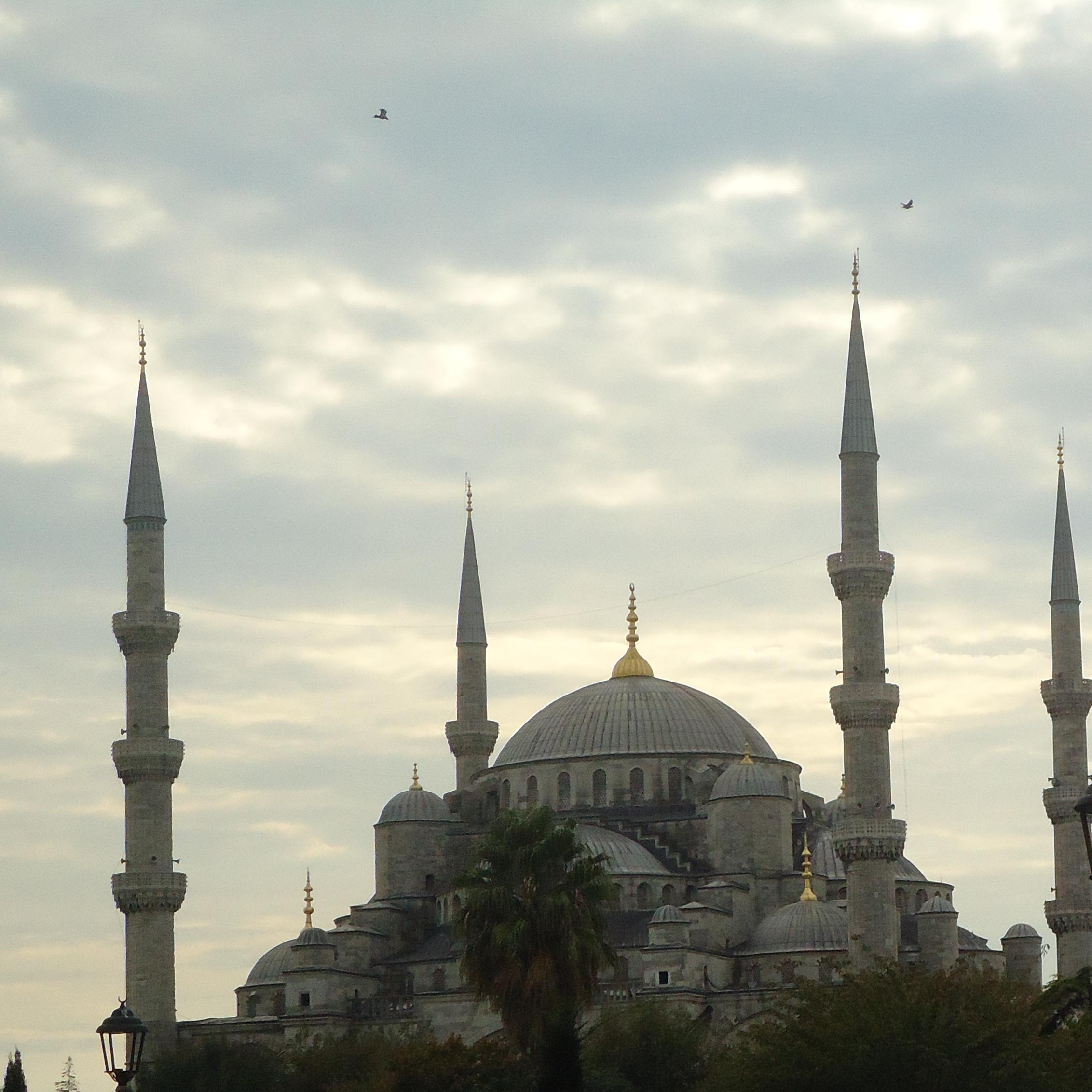 kamalbehieh's profile picture. 