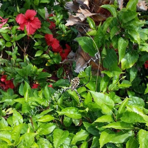 fase_control's profile picture. continuïteit in kwaliteit tegen verantwoorde kosten