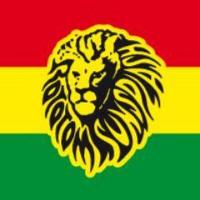 Rototom Sunsplash es (@sunsplash_es) 's Twitter Profile