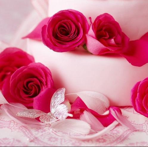 Hi I'm Javeriya aka Jav ;) do follow me and I'll surely follow back! Big fan of Bollywood & the Indian Cricket Team. :D