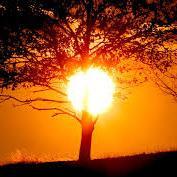 elShaimaasalah's profile picture. ‏‏‏باحثة أكاديمية باللسانيات والتداوليات وطالبة بالماجستير