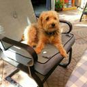 John Rook - @sicovit2 - Twitter